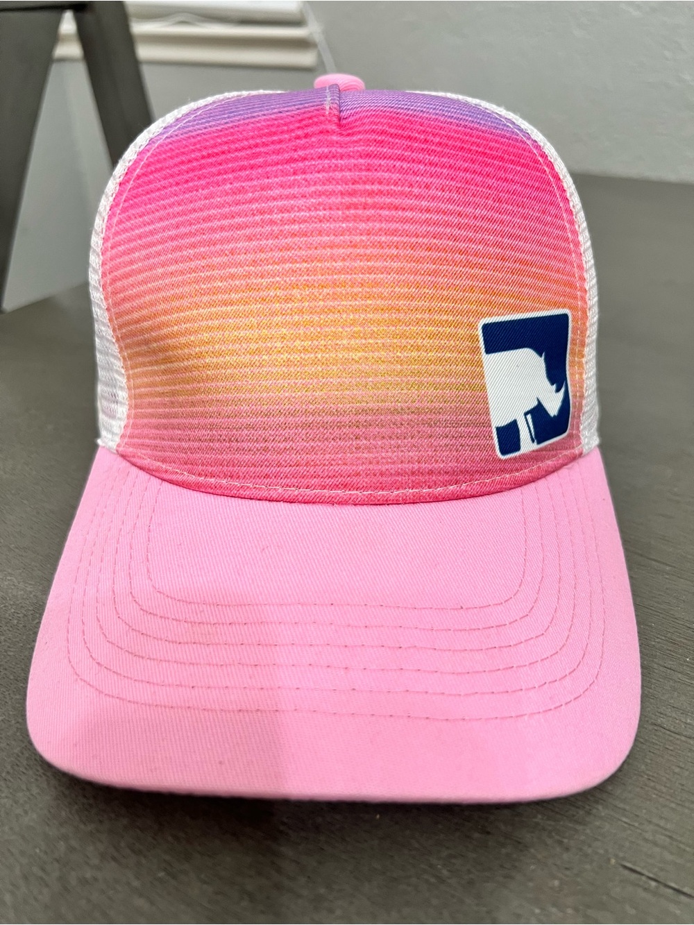 Abercrombie & Fitch rhino gradient trucker cap